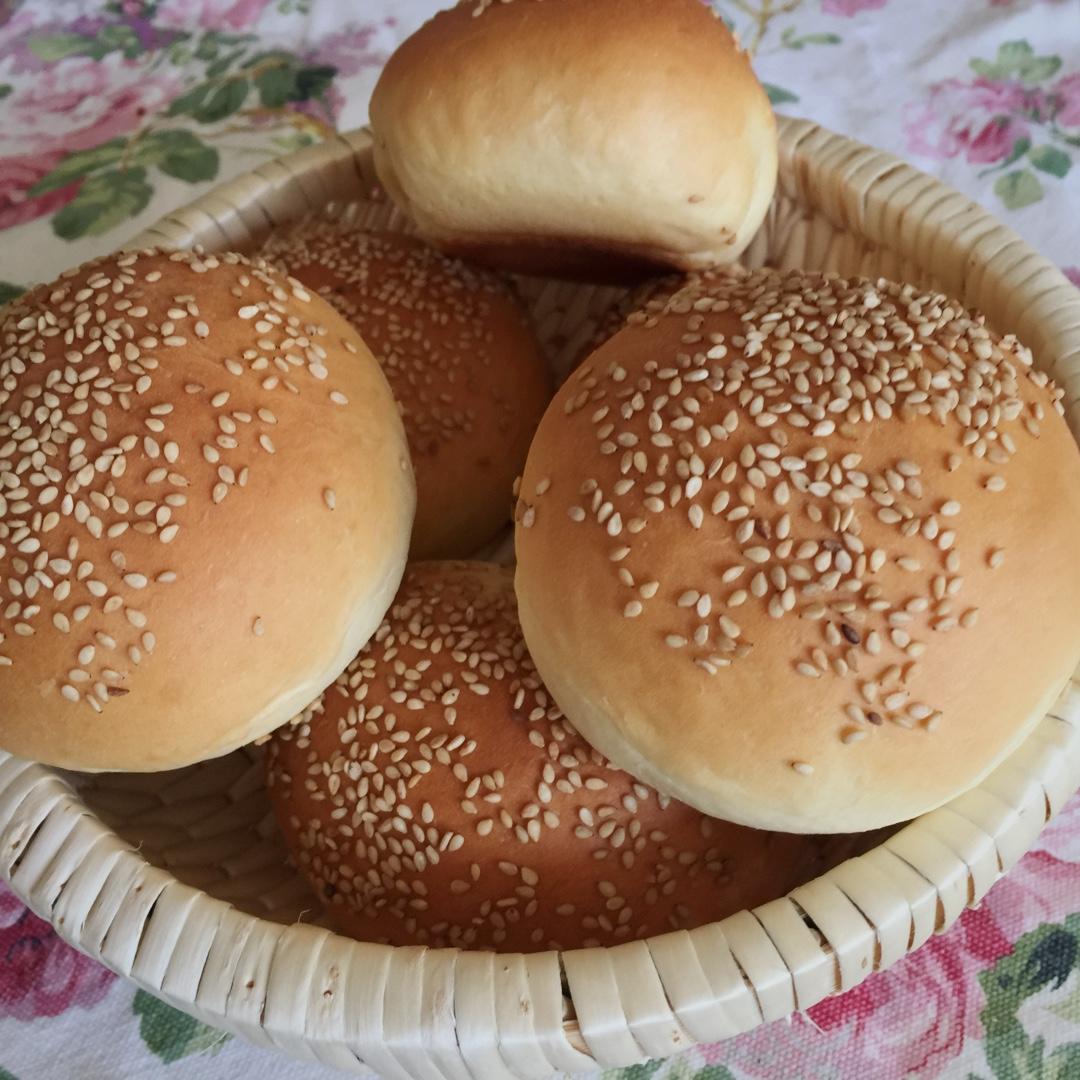 汉堡胚 poolish（波兰种）