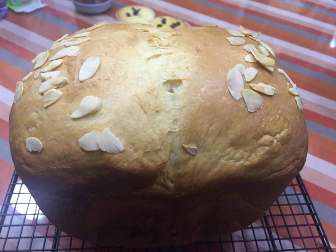 全部面包通用的液种（波兰酵种）面团