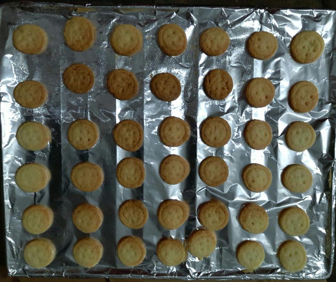 纽扣饼干┃萌到没朋友