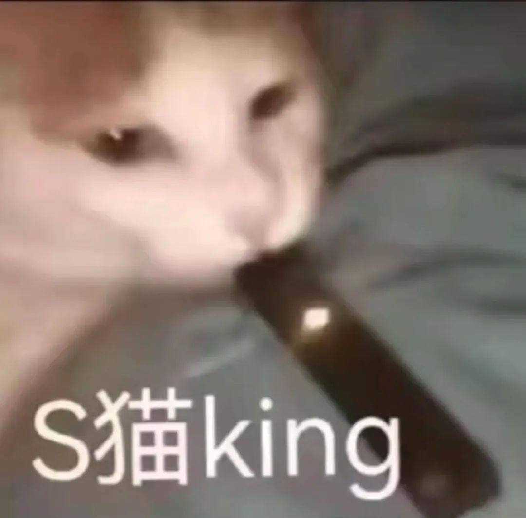 厨房小白进化