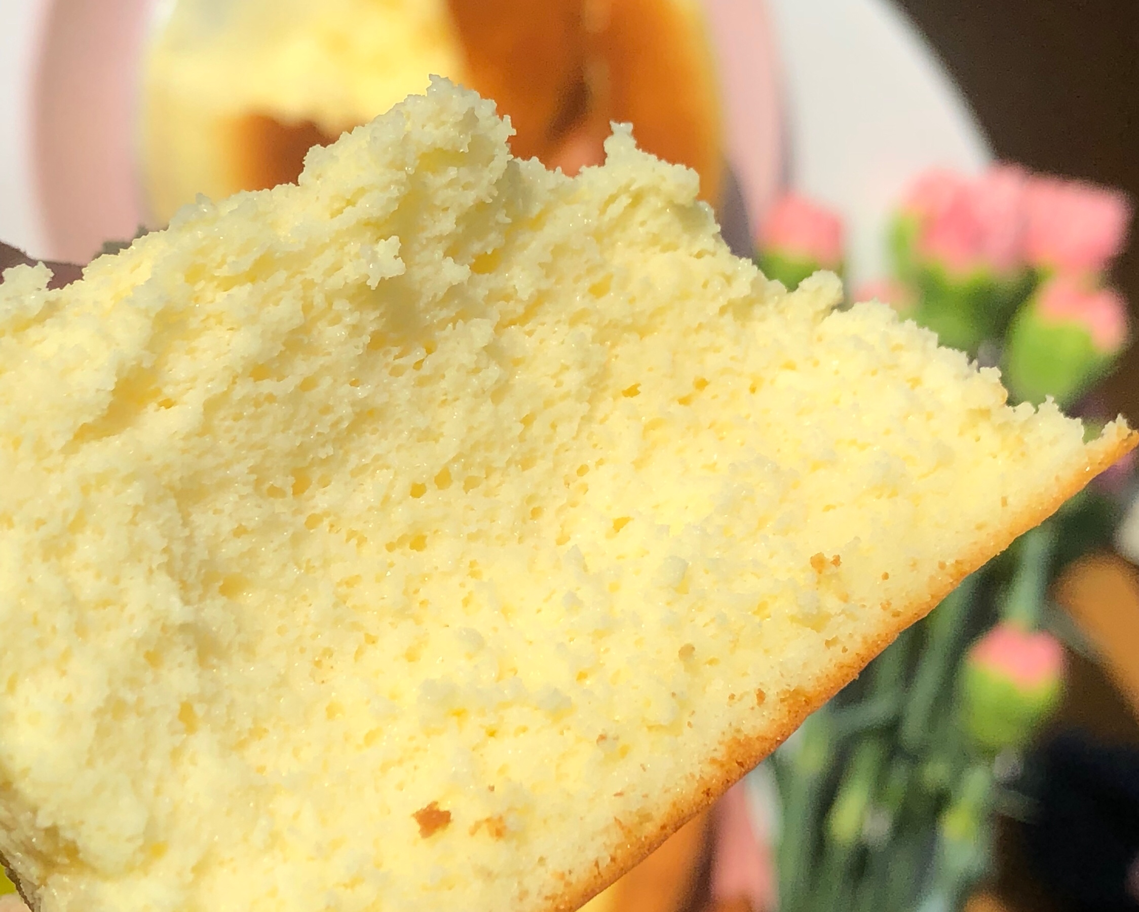 网红好利来半熟芝士蛋糕(低卡）轻乳酪蛋糕hanjuku cheese的做法 步骤20