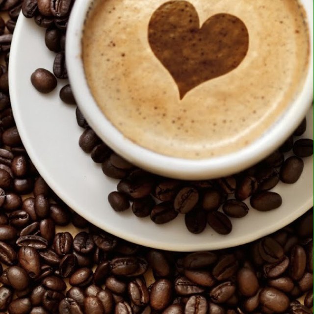 奶油冻芝士蛋糕（免烤，1:1配方）