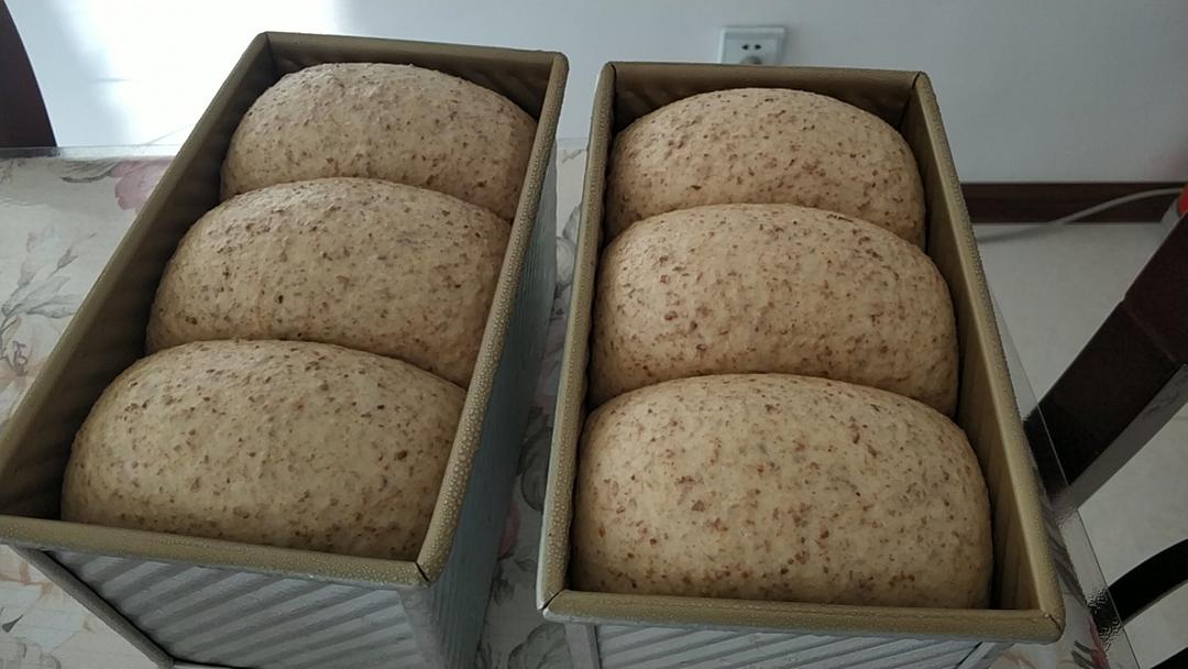 全麦吐司（含麸皮）