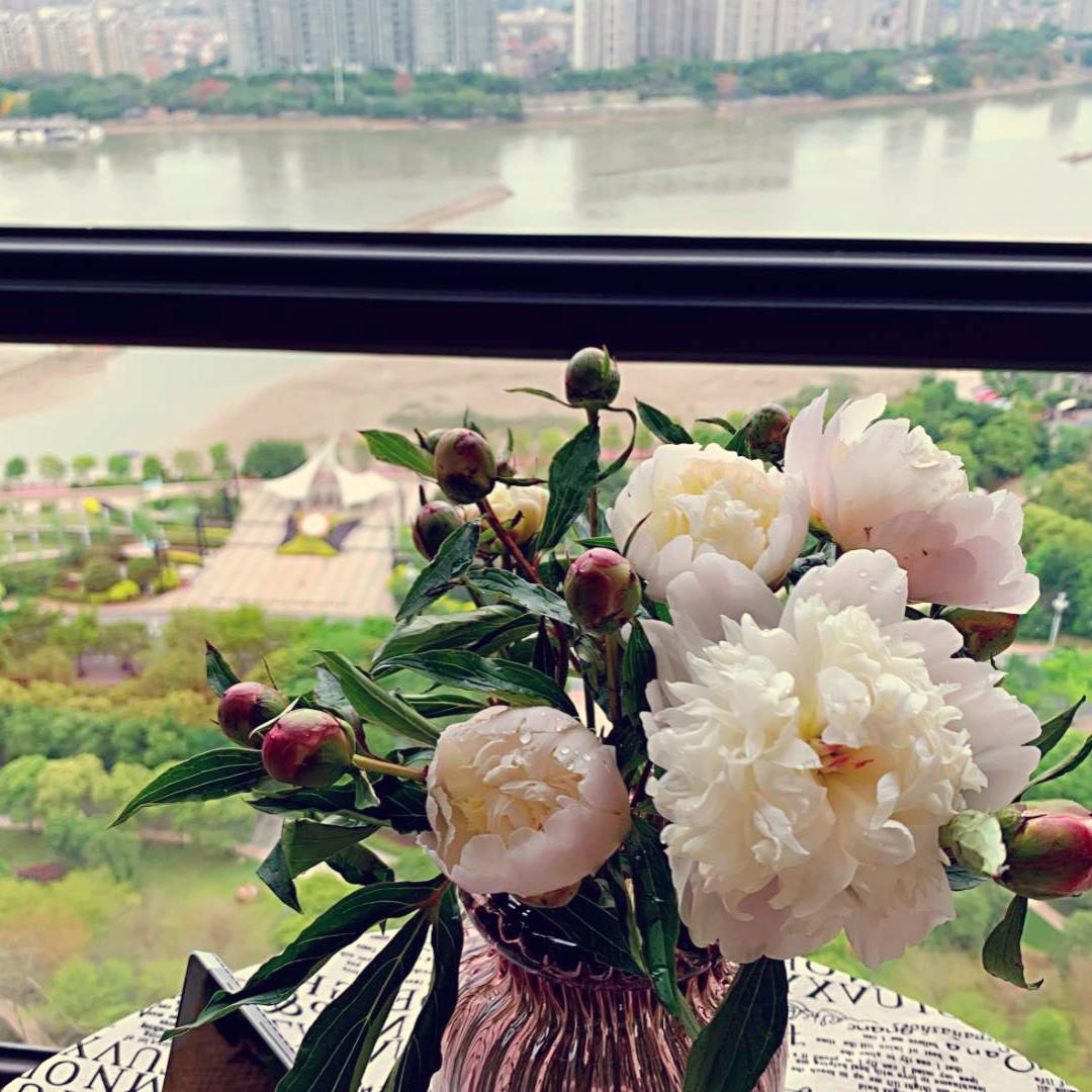 小骆驼的妈