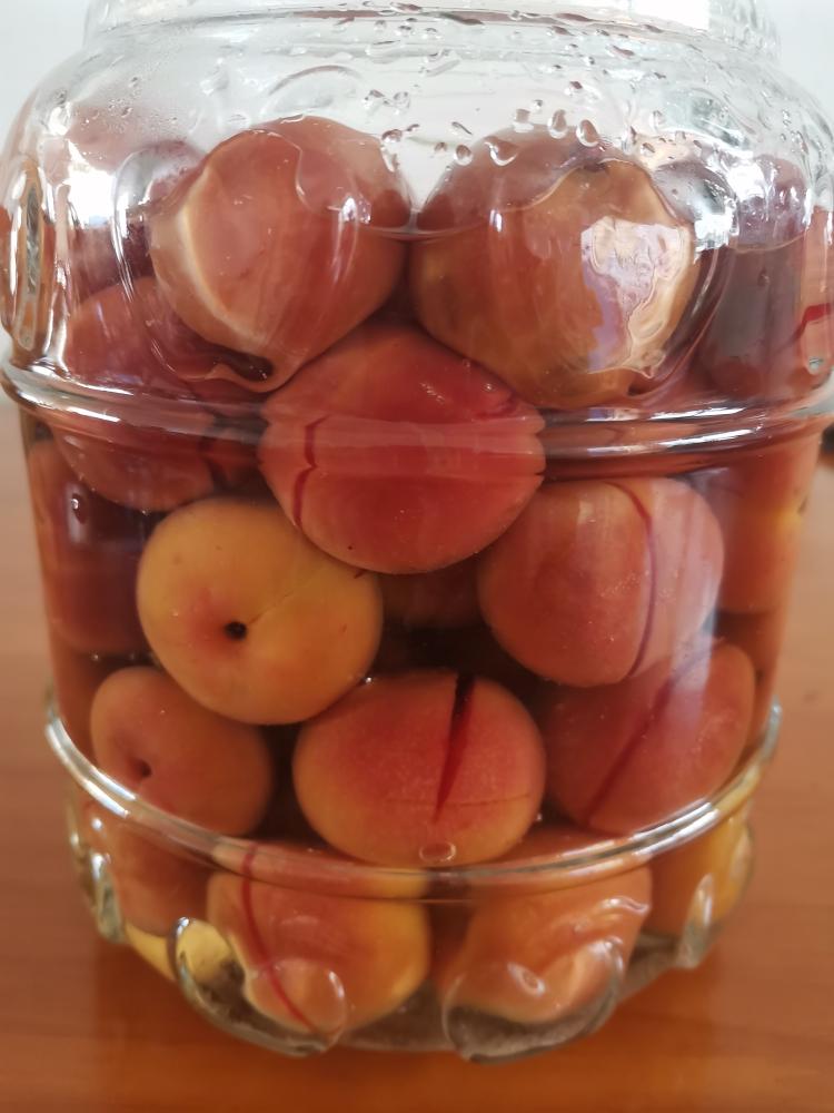 糖渍李子的做法