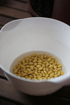 原汁原味 豆浆 豆腐脑的做法 步骤1