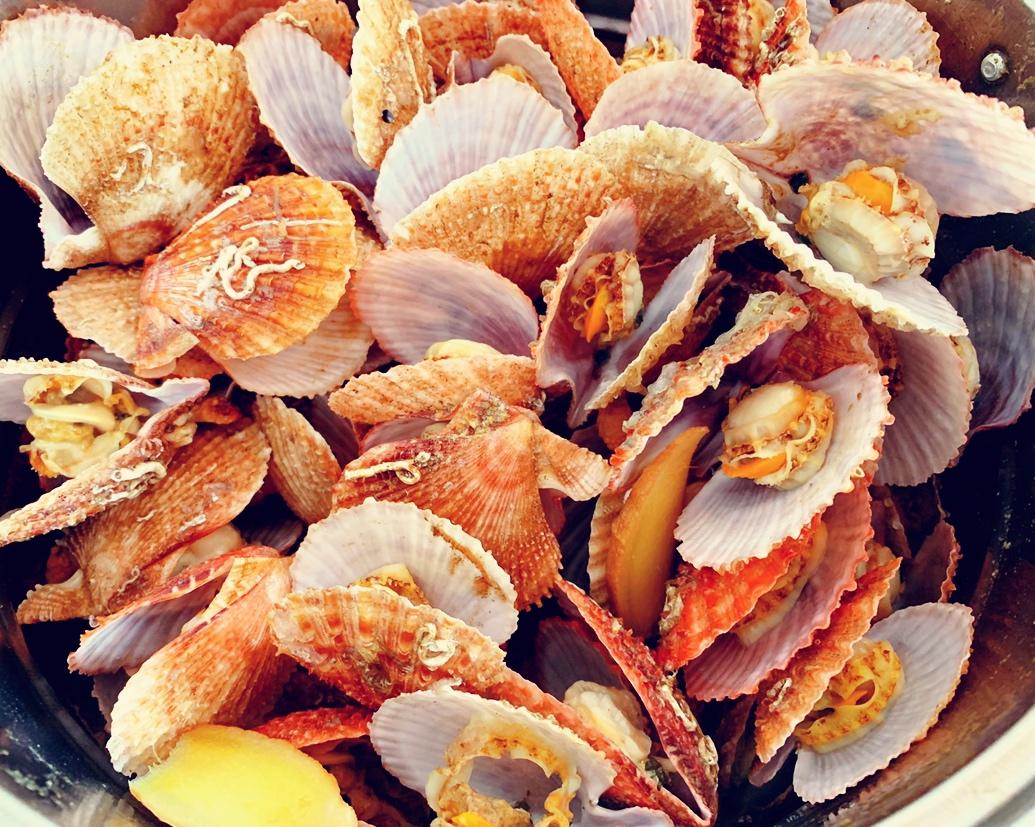 煮扇贝