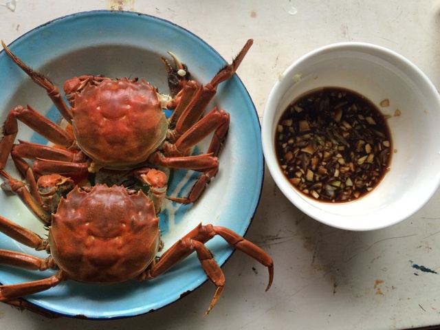 清蒸大闸蟹