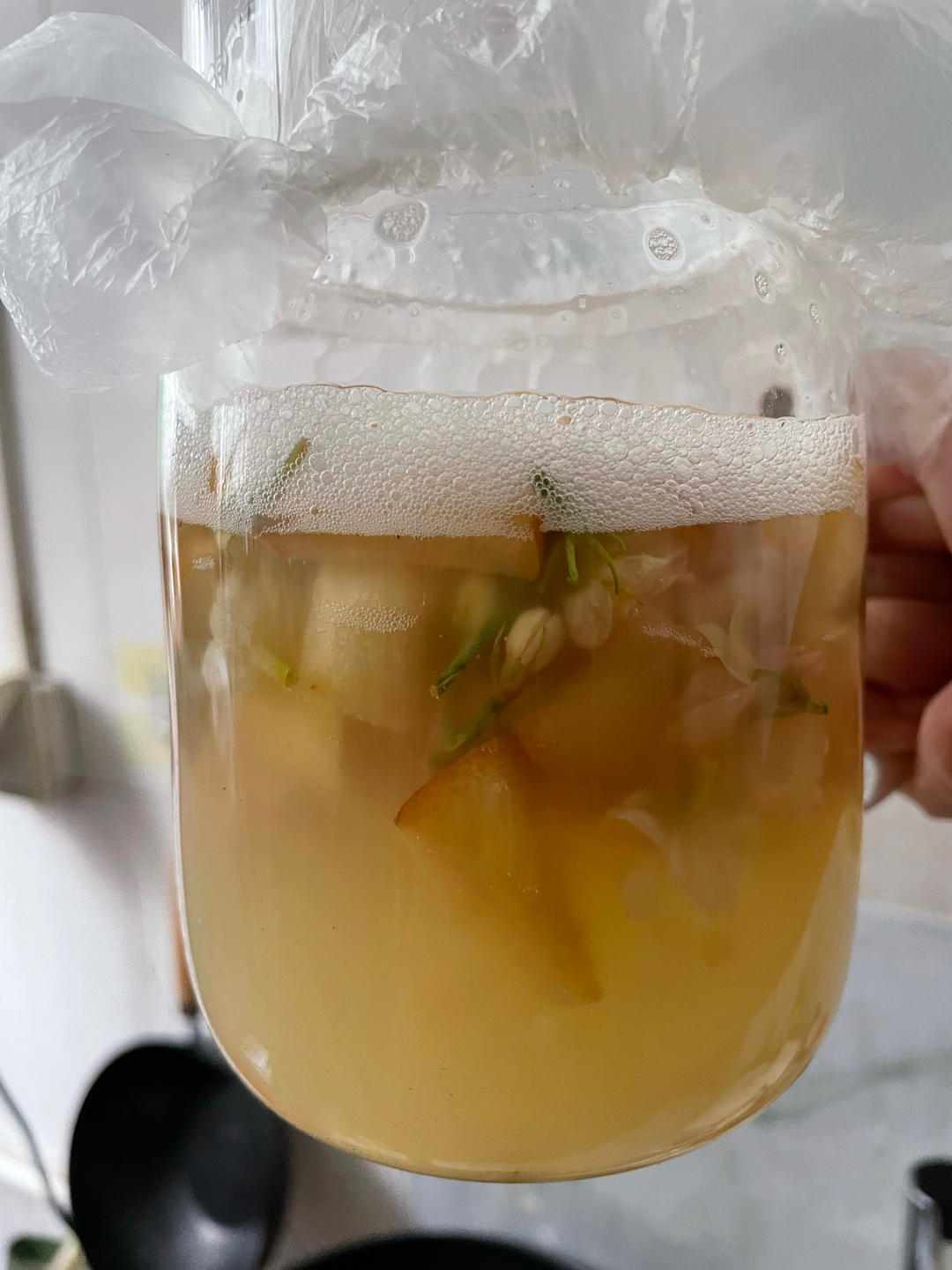水果天然酵母液制作（成功）