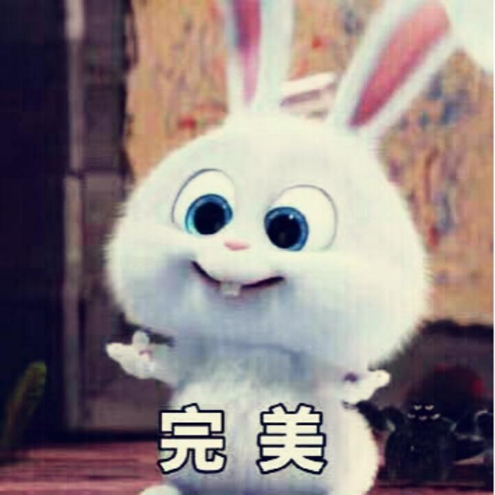 糖果果琪