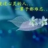 安之若素微笑向暖