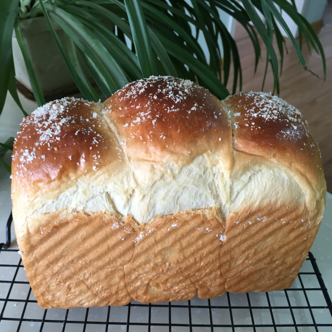 炼乳吐司～中种，