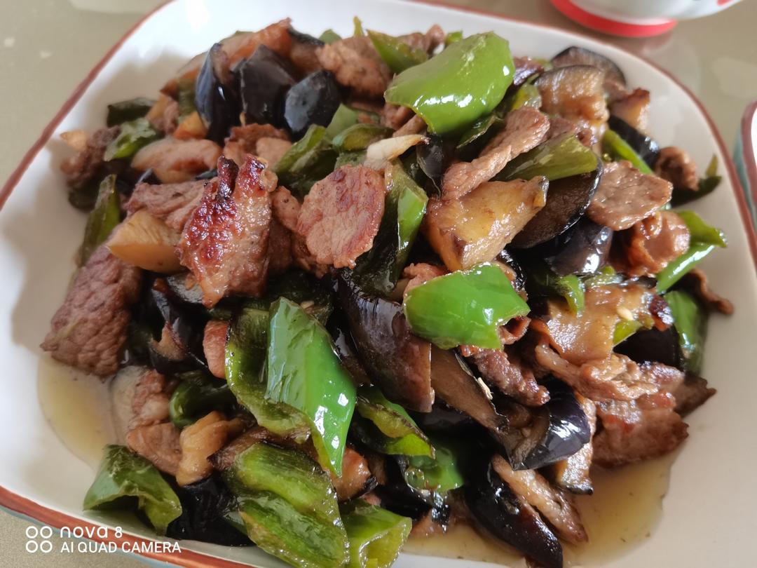 茄子辣椒炒肉