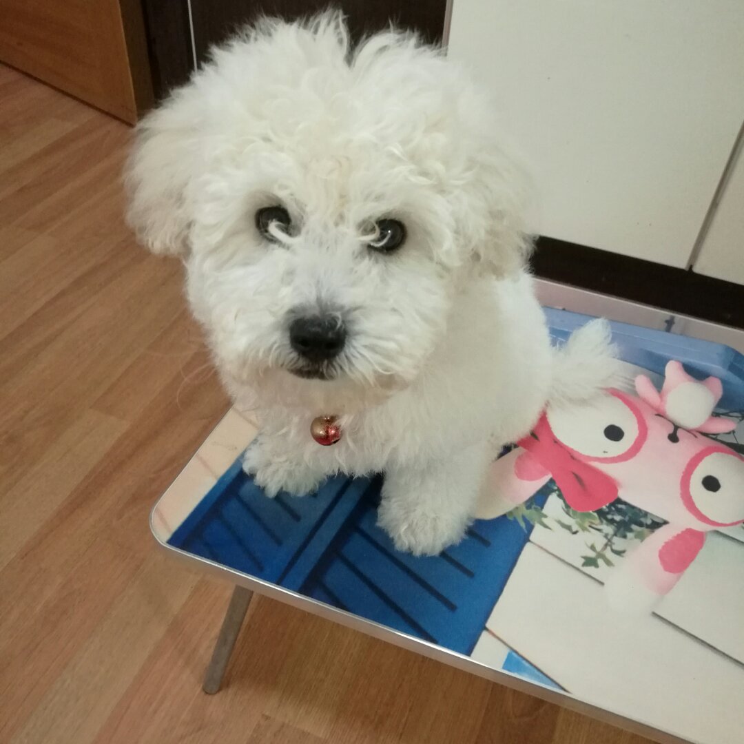 手机用户5755_pw75