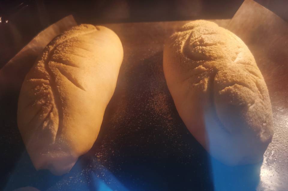 黄豆粉红枣面包（中种）