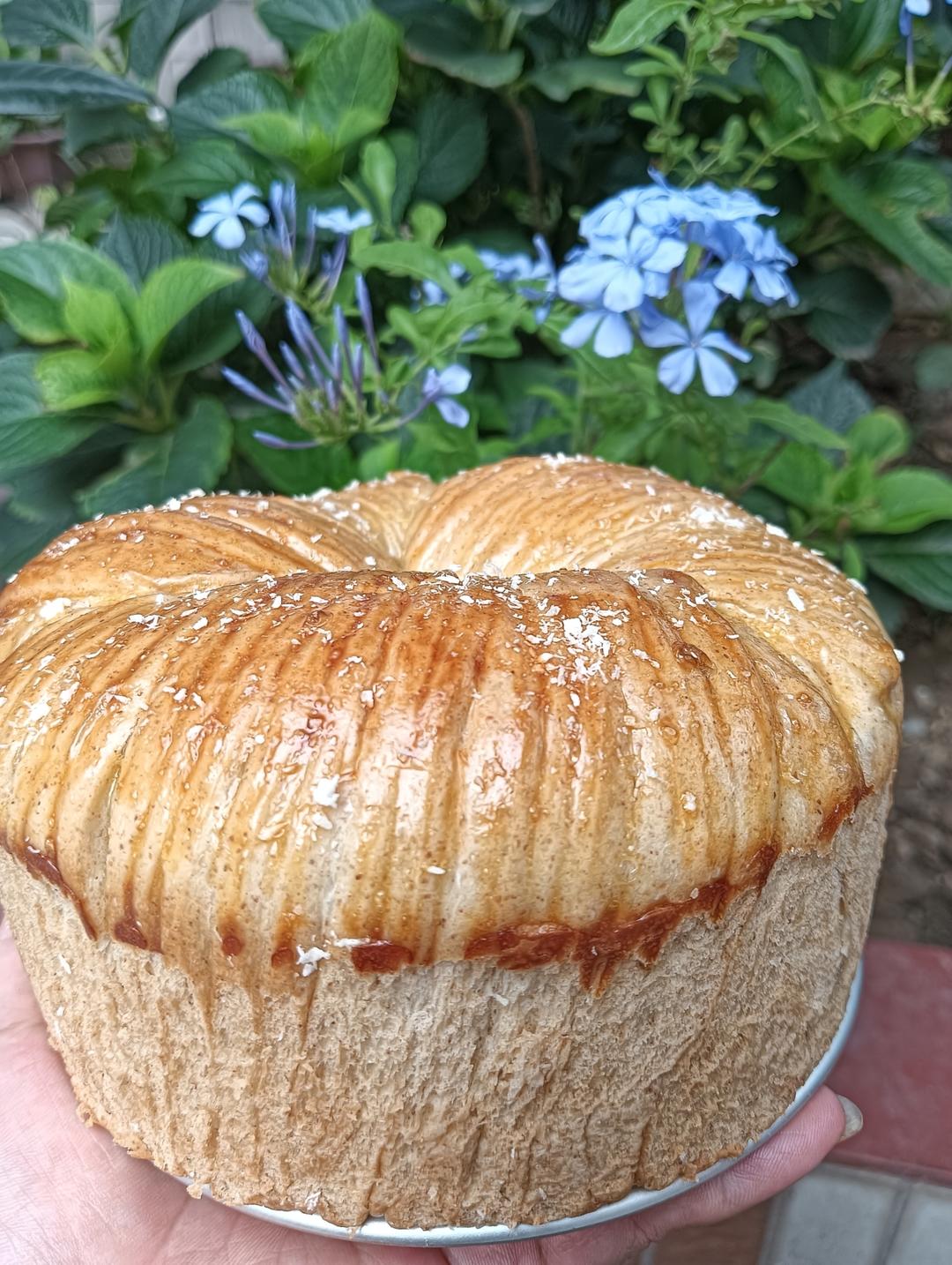 🔥一次成功🔥最近爆火的毛线球面包