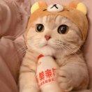 养乐多yuez