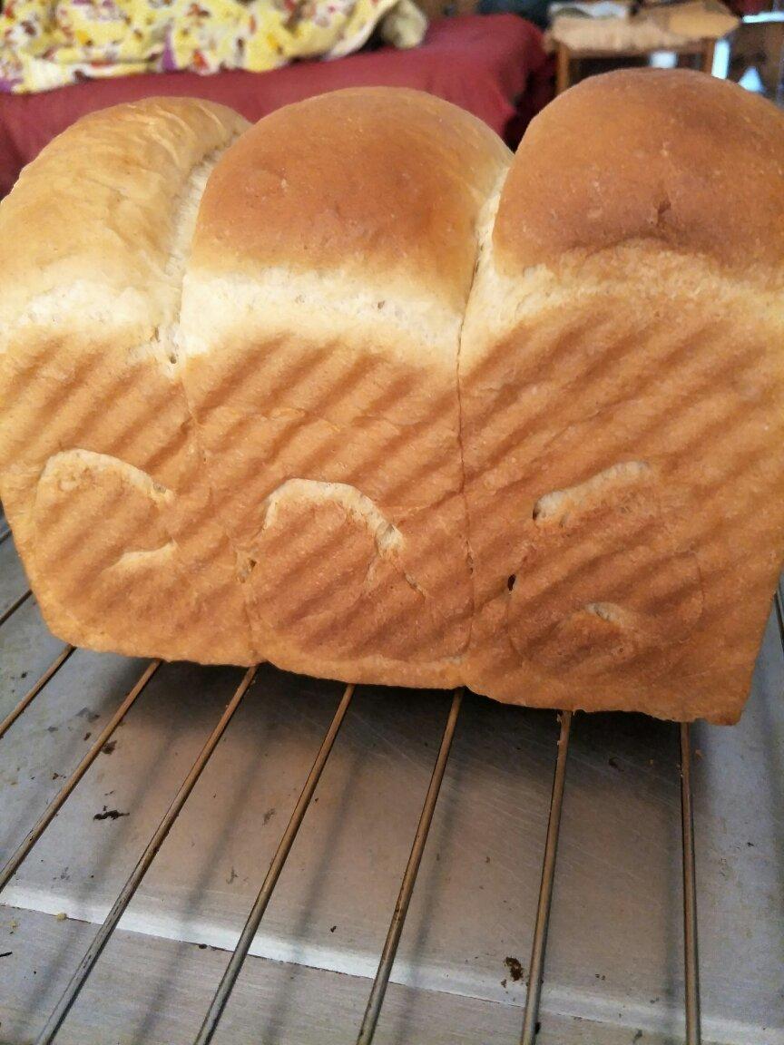 爆发力惊人的70%中种全麦吐司