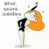 休息下猫猫
