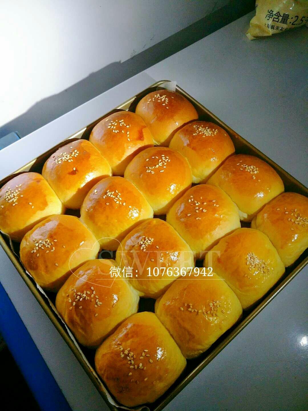 鲜奶油小餐包（一次发酵）