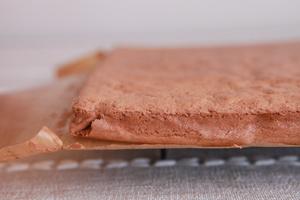 【北鼎烤箱食谱】莓果巧克力裸蛋糕的做法 步骤8