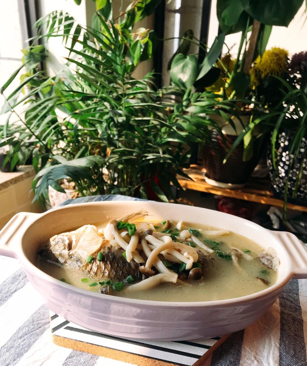 鲫鱼菌菇汤