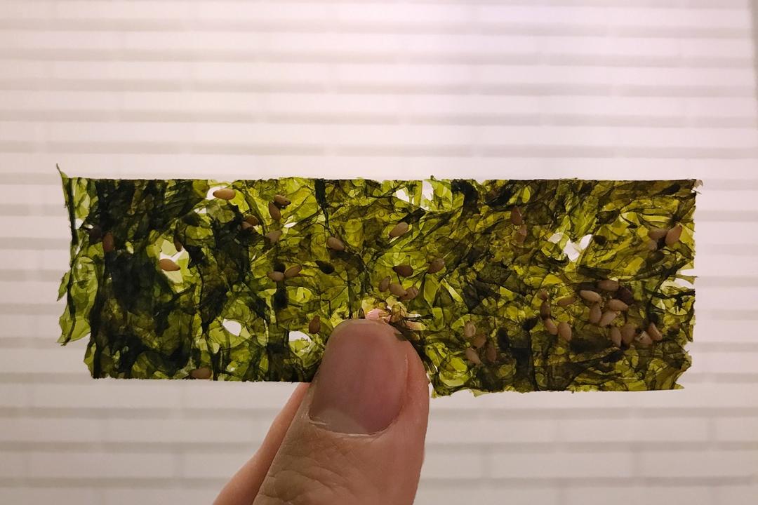 自制海苔