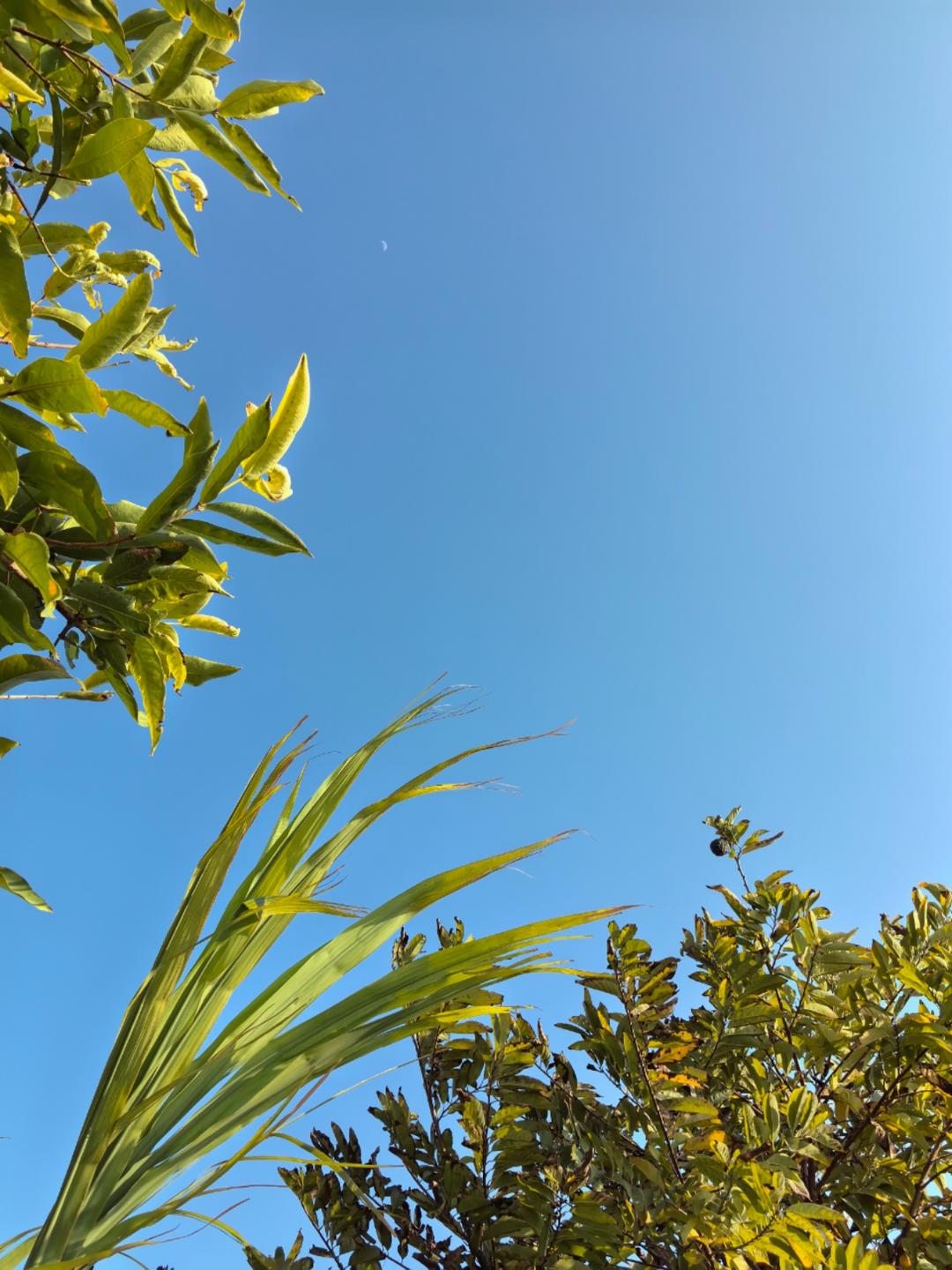 曼曼曼