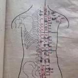 陌生人聊天记录