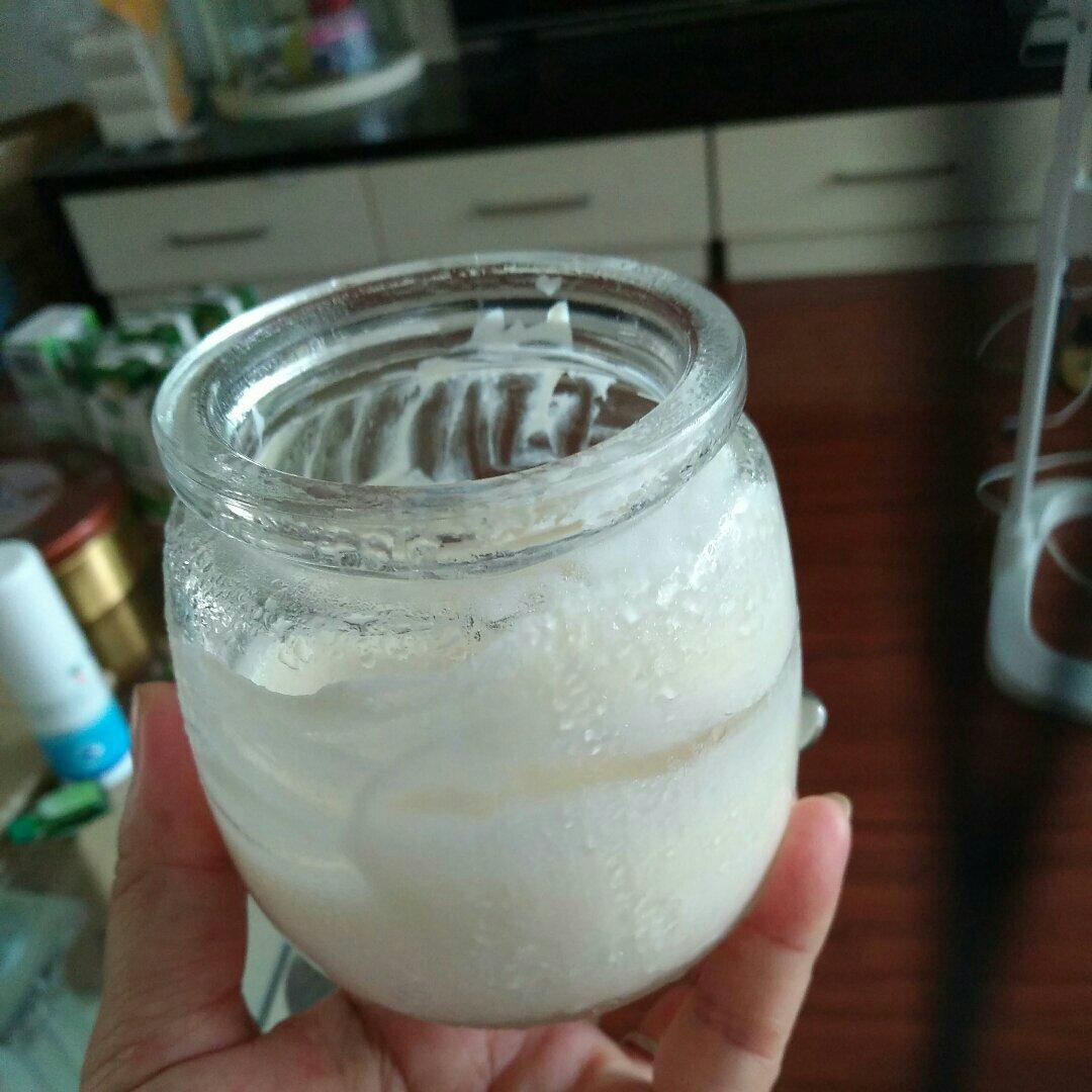 自制凝固型酸奶