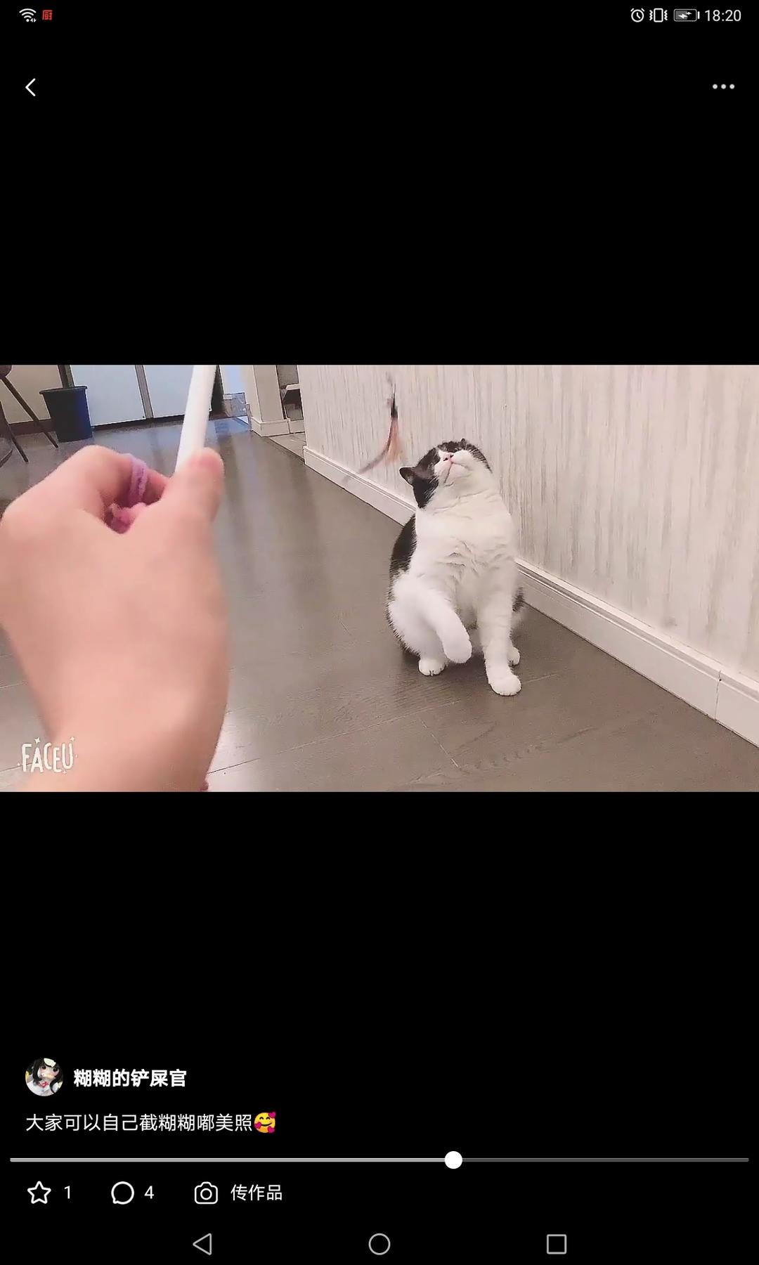 大家可以自己截糊糊嘟美照🥰