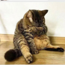 江曜南