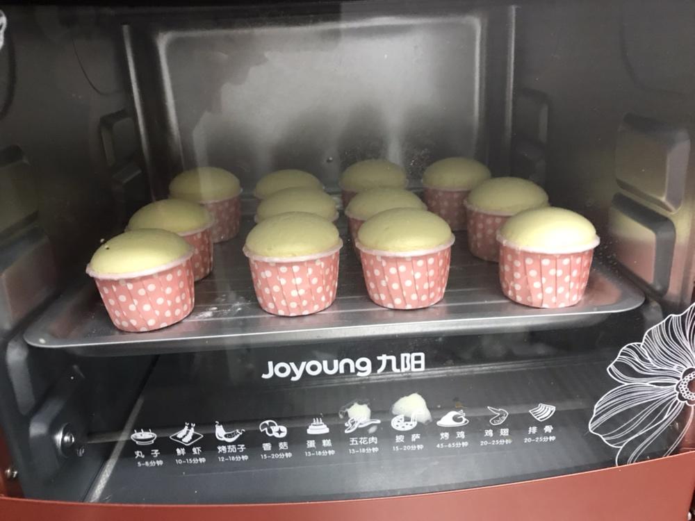 不回缩杯子蛋糕cupcake