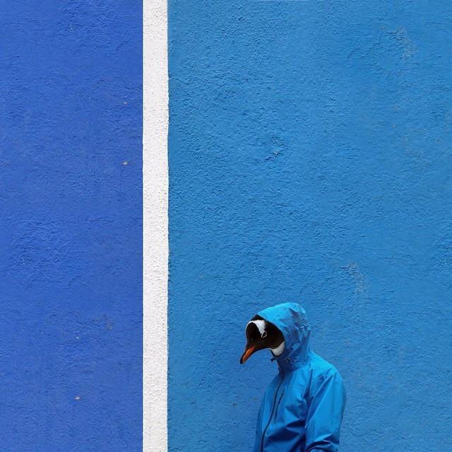 疯狂的菠菜