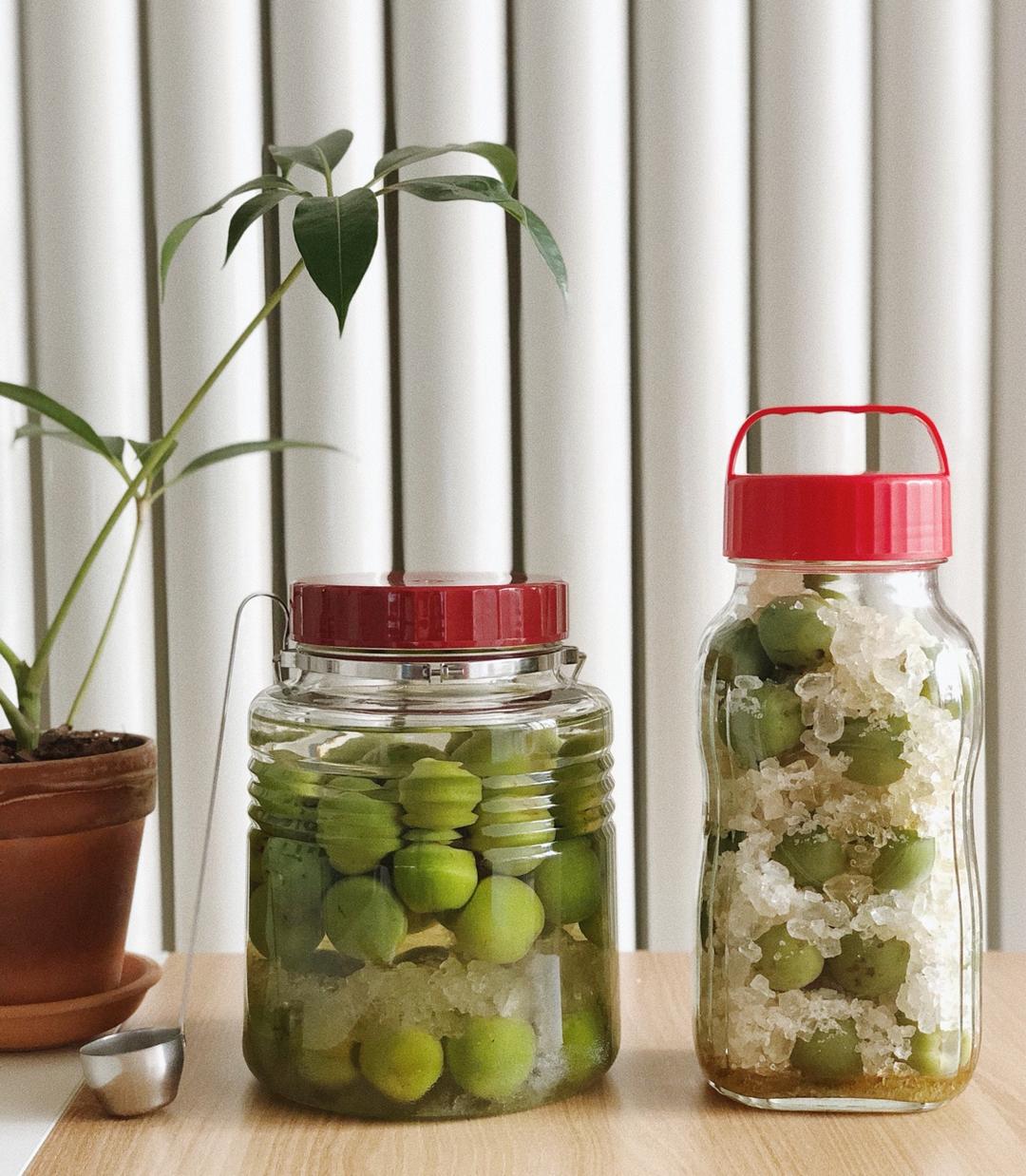 【青梅酒】梅子的沉醉时光（已填坑）