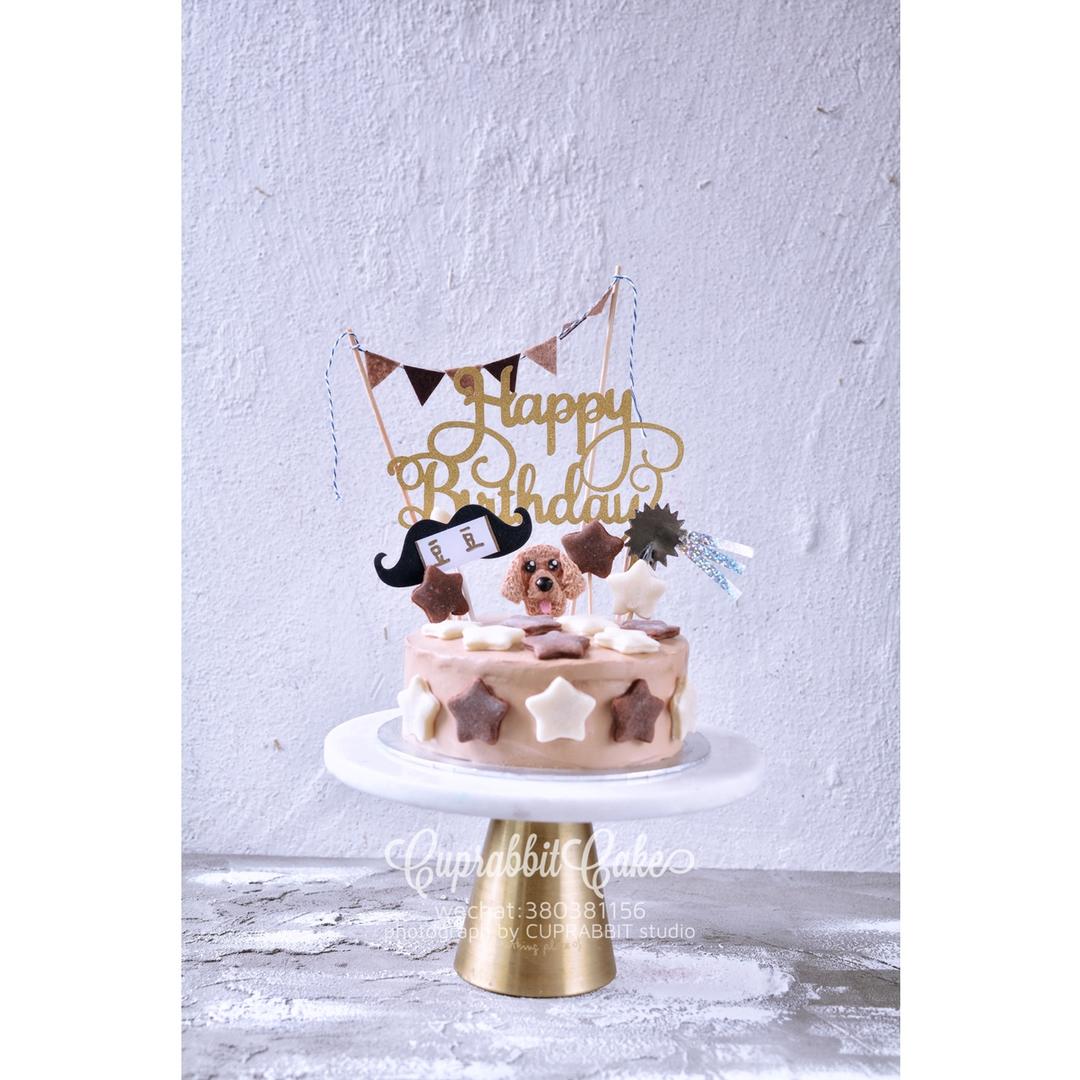 猫猫狗狗宠物蛋糕