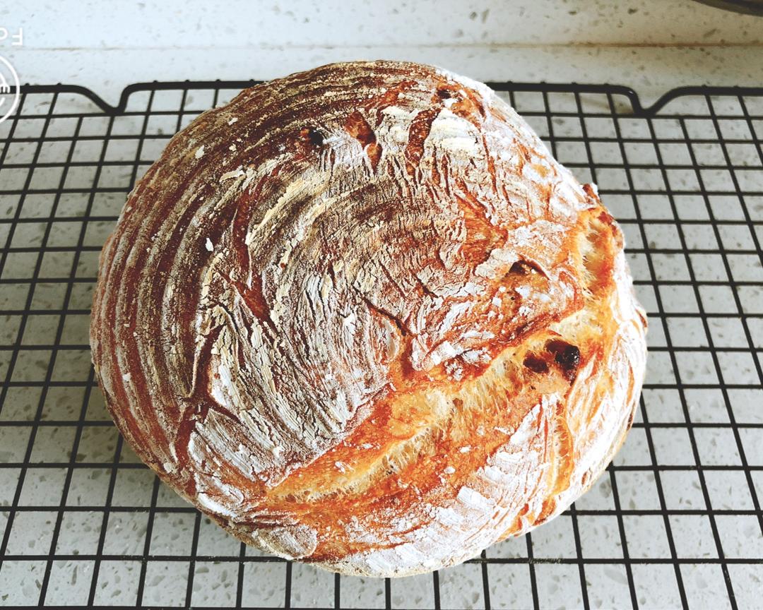 波兰酵头全麦乡村欧包的做法