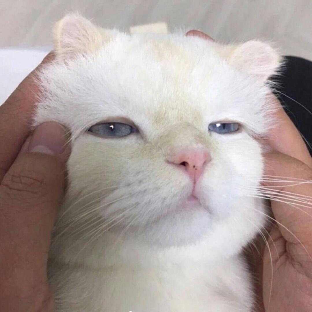 菠萝奶糖