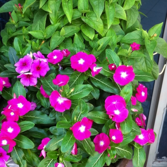 ~  记录瞬间的美  ~