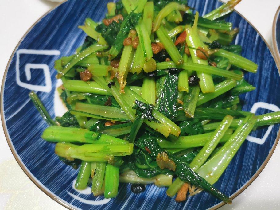 健康春菜🥬