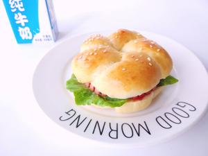 元气早餐——汉堡三明治的做法 步骤4