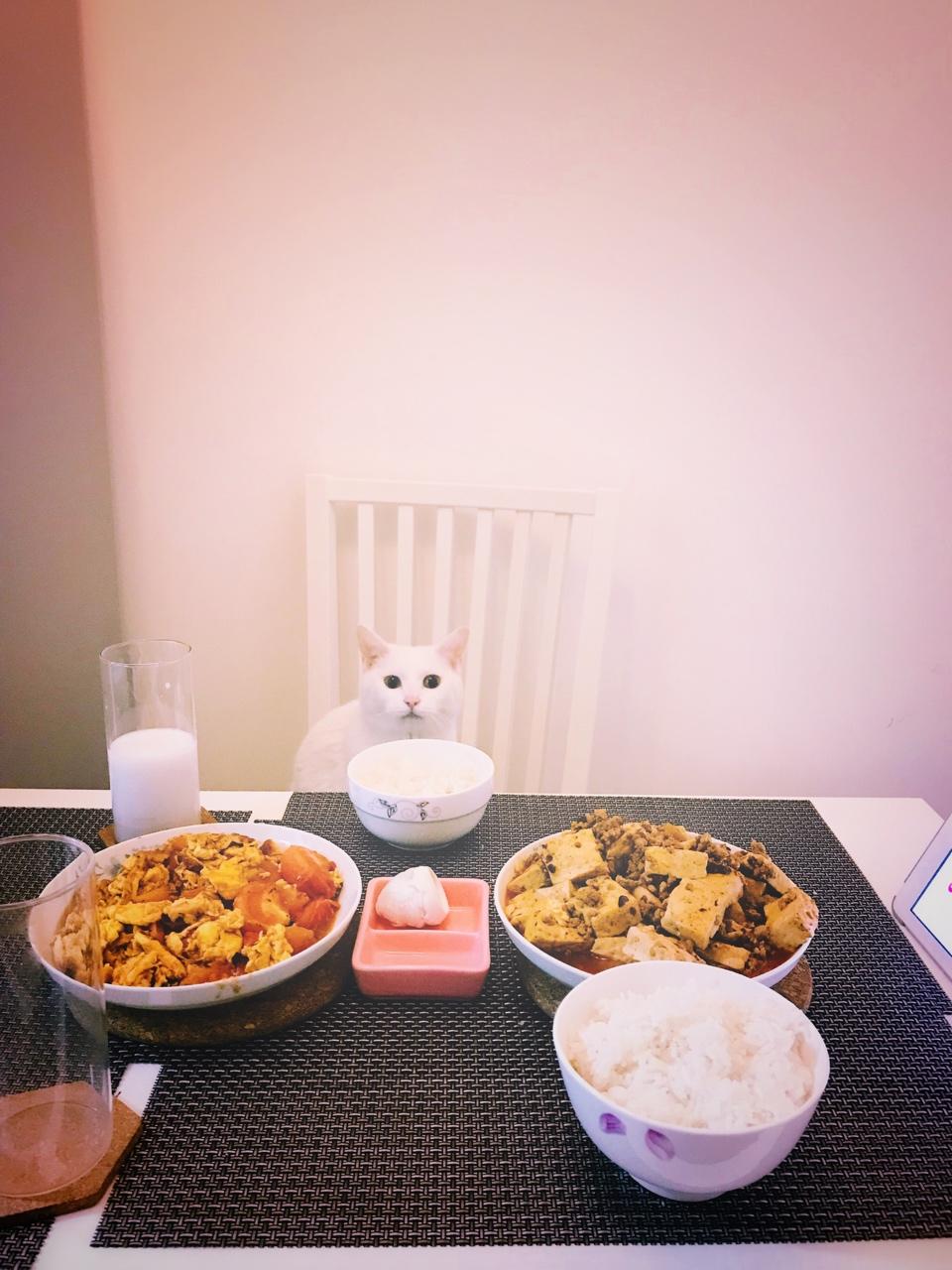 家常红烧肉末豆腐