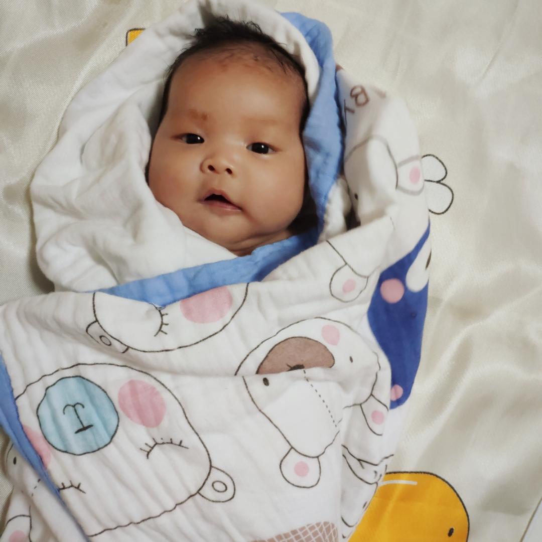 我是一个小饼干丫