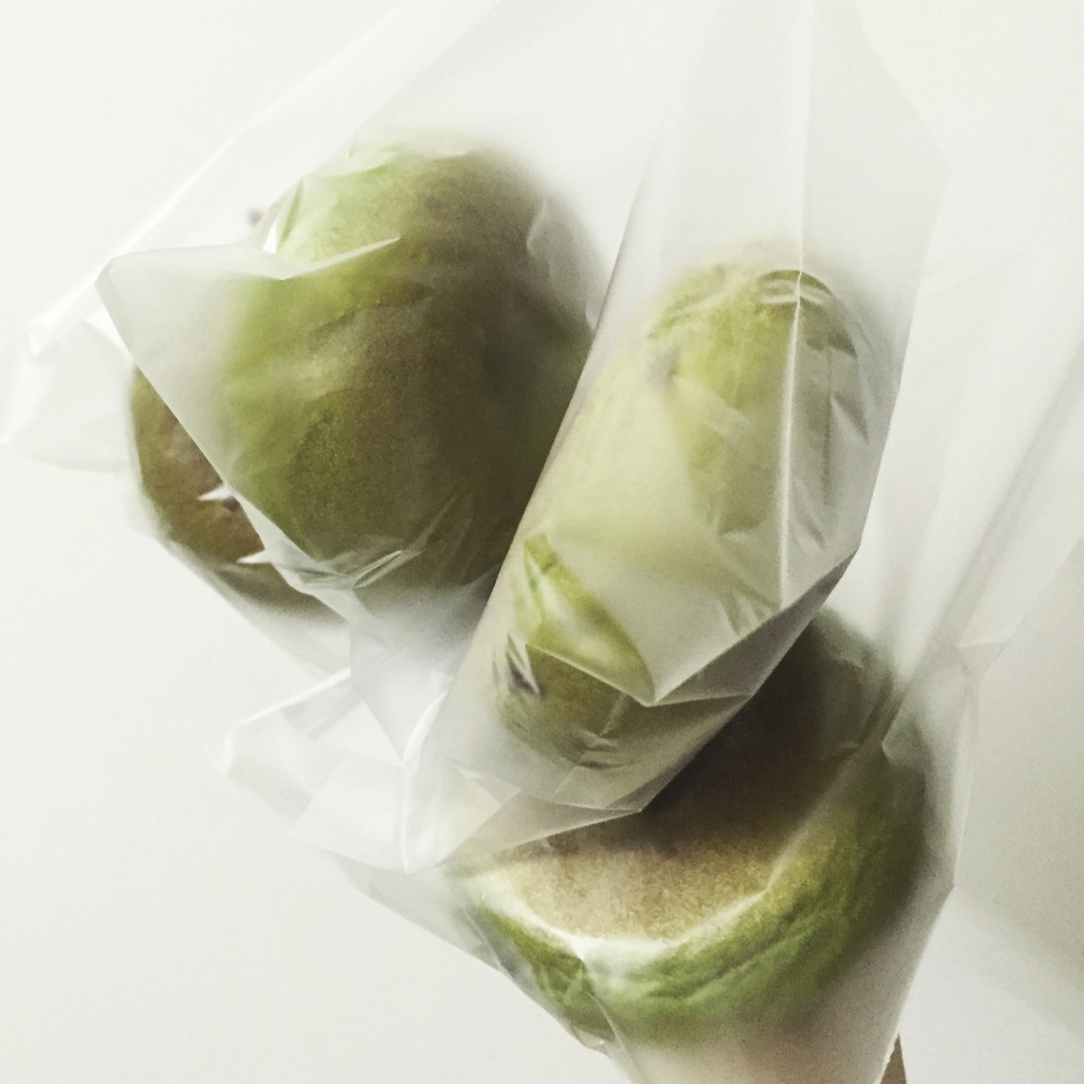 贝果纪录
