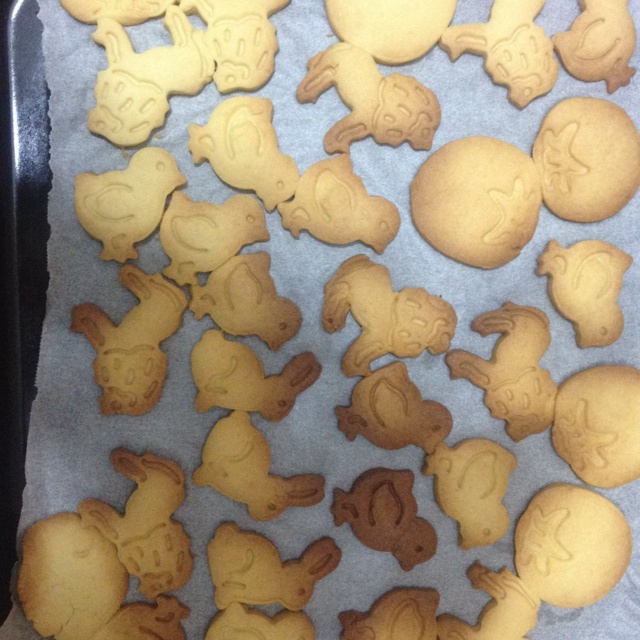 动物饼干