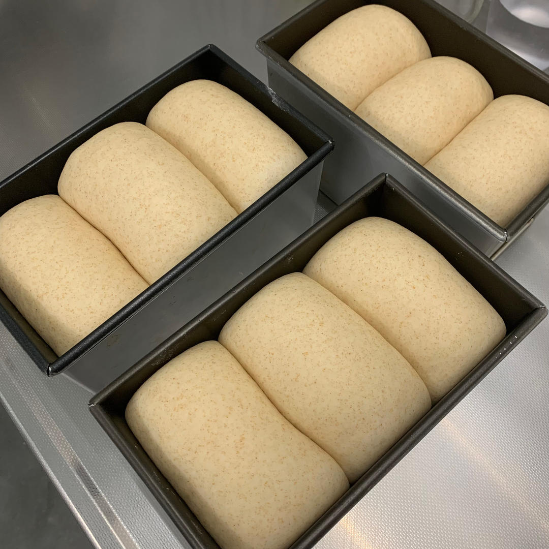 试过无数全麦吐司，还是这款40%全麦生吐司最好吃！