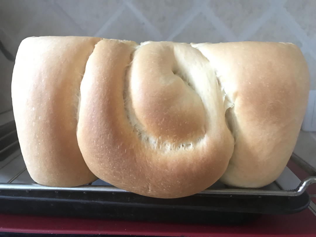 🌟只需一发的软妹子🌟奶香吐司🍞