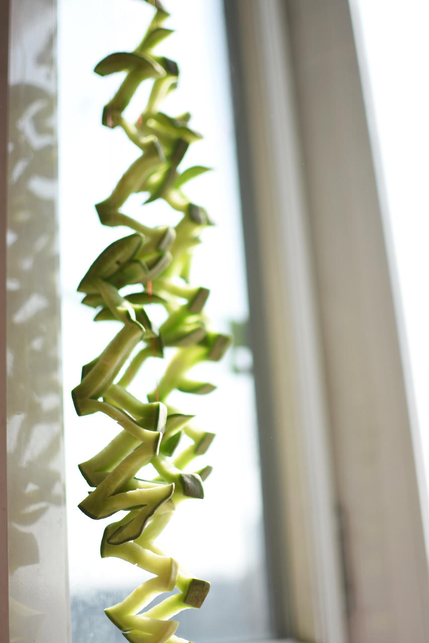 腌萝卜干---小时候的味道