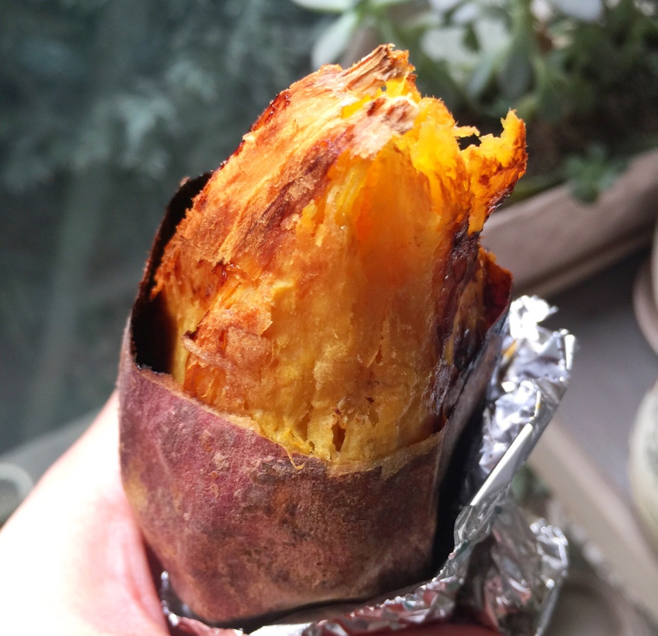 孵蛋的大象做的烤红薯烤箱版