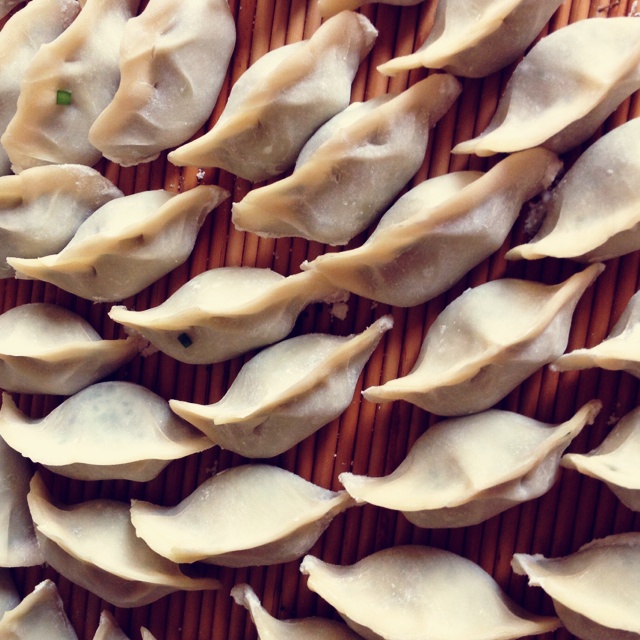 鲜肉西葫芦馅饺子的全部作品